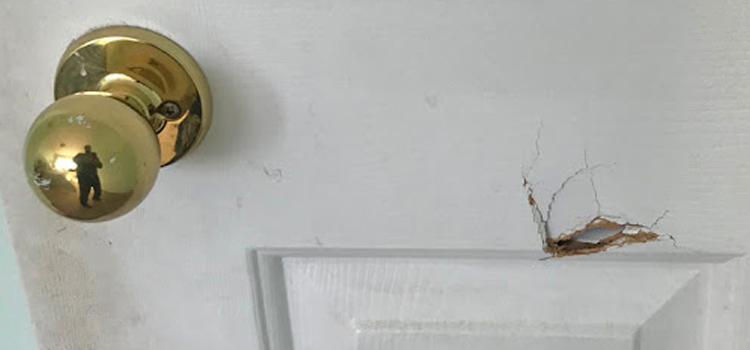interior door hole repair Oak Hills